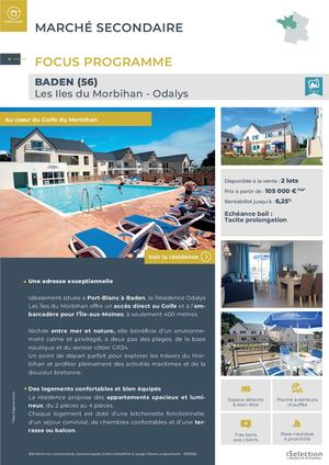 Baden - Les Iles du Morbihan