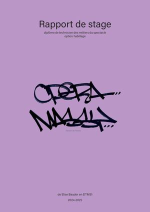 Rapport de Stage - Elise Bauder