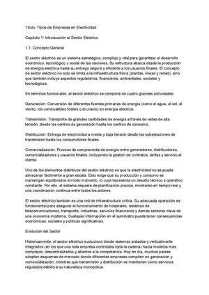 Tipos De Empresas De Electricidad