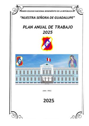 PLAN ANUAL DE TRABAJO - NSDG - 2025