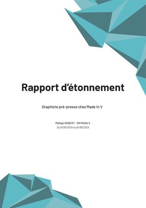 Rapport d'étonnement