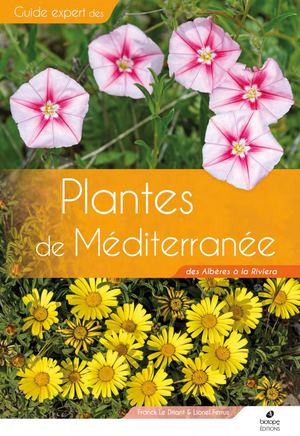 Plantes de Méditerranée
