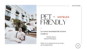 Presentación Hotel Minimalista Blanca 20250707 081050 0000