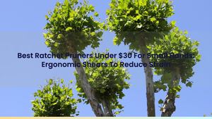 Best Ratchet Pruners Under $30 For Small Hands: Ergonomic Shears To Reduce Strain