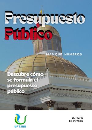 Revista Presupuesto Publico (2)