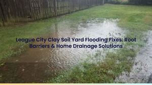 League City Clay Soil Yard Flooding Fixes: Root Barriers & Home Drainage Solutions