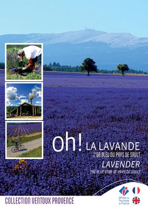 Le pays de Sault, berceau de la lavande