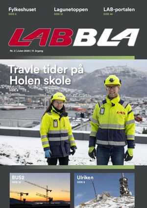 LAB Bla 2-2020
