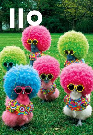 Manège - Saison 25/26 - programme