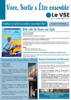 Le VSE 11