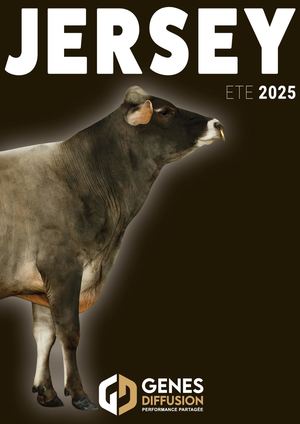 Gamme Jersiais - Hiver 2024-2025