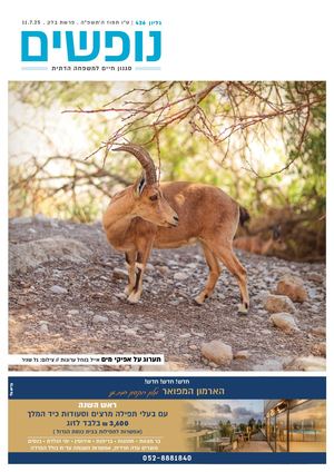 נופים&נופשים גיליון מס׳ 426 | ט״ו תמוז ה׳תשפ״ה | פרשת בלק | 11.7.25
