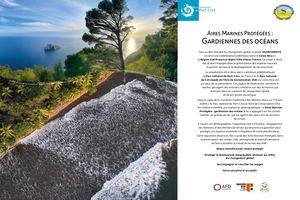 Exposition Les Aires marines protégées, gardiennes de la Méditerranée