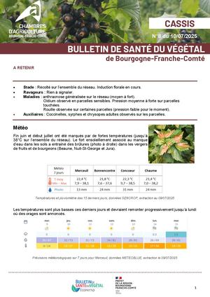 Bsv Cassis N 8 Du 10 07 2025