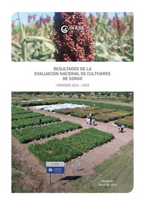 Resultados Enc Sorgo 2024 2025