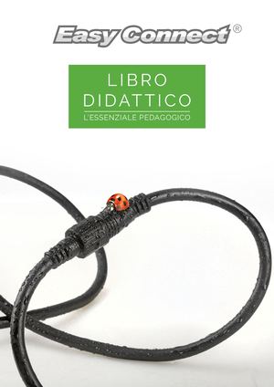 IT - LIBRO DIDATTICO