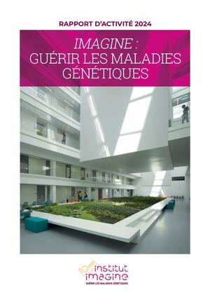 Rapport d'activité 2024