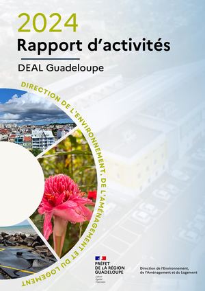 Rapport d'activités DEAL 2024