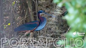 Portafolio 2025 Magdalena Tinamou SAS