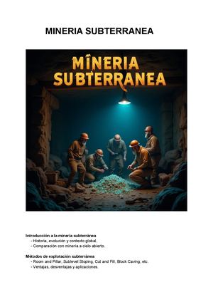 Danny Rojas alanya metalurgia