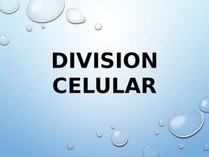 División Celular Mitosis Meiosis y Apoptosis