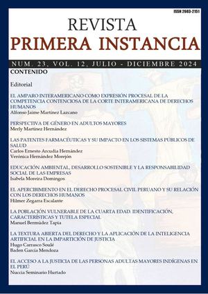 Revista Primera Instancia No 23 V 12 J D 2024