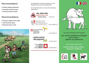 2017 Depliant Vache Meres Et Chdrp F 4 8 (1) (1)