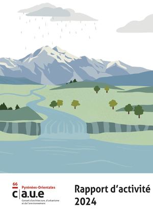 Rapport Activité 2024