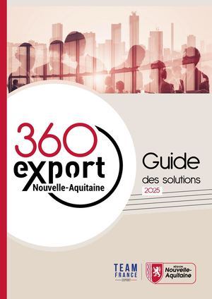 360 export - guide des solutions