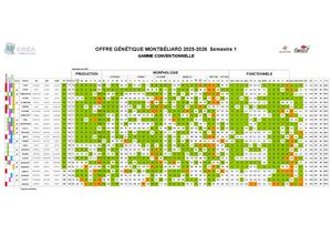 Offre Montbéliarde S1 2025 2026