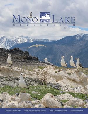 2025 Summer Mono Lake Newsletter