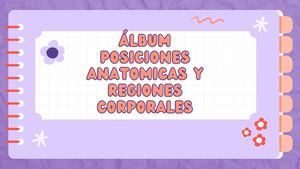 ÁLbum Posiciones Anatomicas Y Regiones Corporales