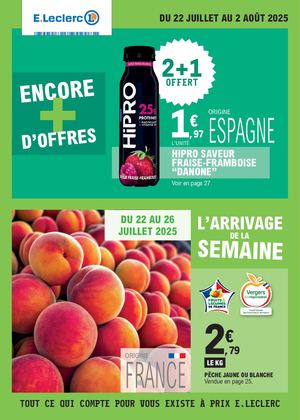 trafic pouvoir d'achat 9