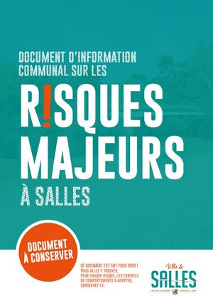 DICRIM VILLE DE SALLES