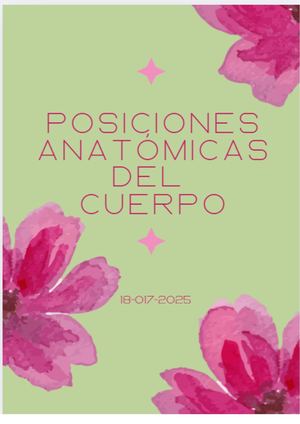 Posiciones Anatómicas Del Cuerpo