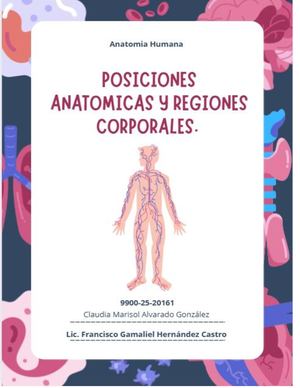 Posiciones Anatómicas
