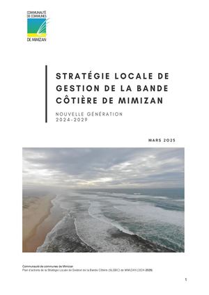 Stratégie Locale De Gestion De La Bande Côtière De Mimizan Vf