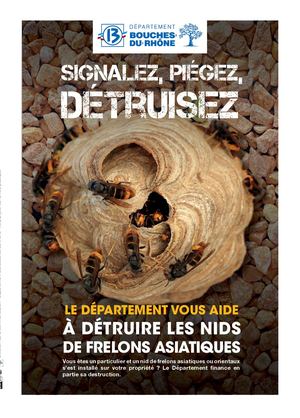 FRELONS : Mode d'emploi Destruction de nids