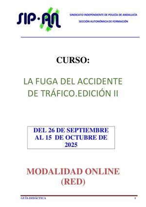 LA FUGA DEL ACCIDENTE DE TRÁFICO. EDICIÓN II