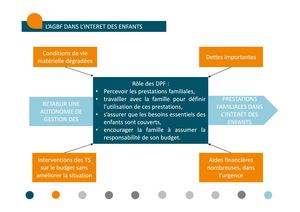 6 La Mesure Judiciaire D'aide à La Gestion Du Budget Familial