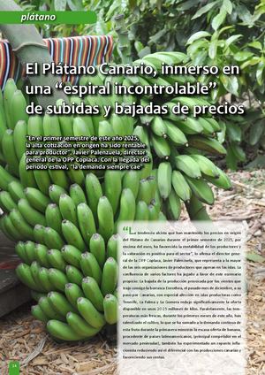 El Plátano De Canarias Envuelto En Una Espiral De Subidas Y Bajadas De Precios
