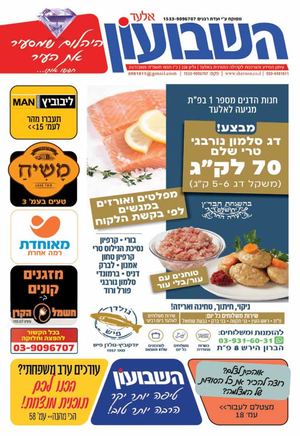 שבועון אלעד 228