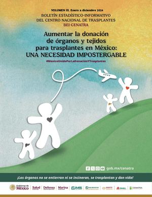 Bei Cenatra Vol Ix Periodo Enero Diciembre 2024