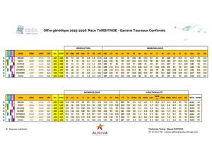 Offre Tarine 2025 2026