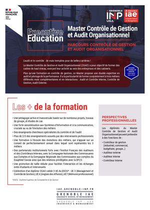 Master Contrôle de Gestion et Audit Organisationnel