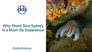 Why Shark Dive Sydney Is a Must-Do Experience