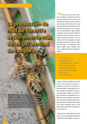 Campaña Miel De Tenerife