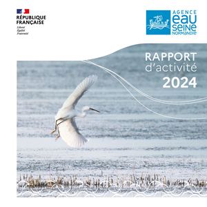 Rapport d'activité 2024