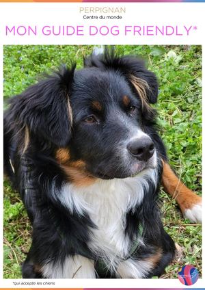 Guide Dog Friendly - Perpignan avec mon chien