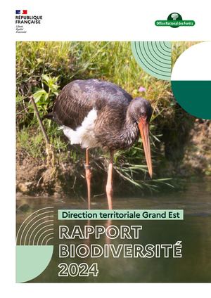 Rapport biodiversité 2024 de l'ONF Grand Est